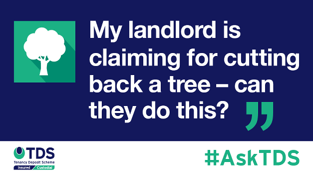 #AskTDS: "My landlord is claiming for cutting back a tree - can they do this?"
