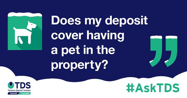 #AskTDS: "Does my deposit cover having a pet in the property?"