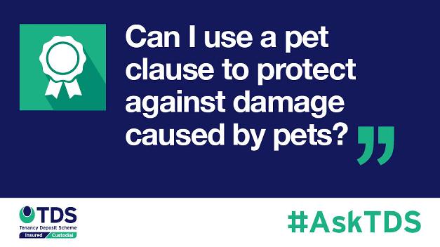 Image saying "#AskTDS: Can I use a pet clause to protect against damage caused by pets?"