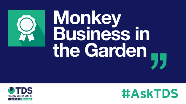 #AskTDS Monkey Business in the Garden