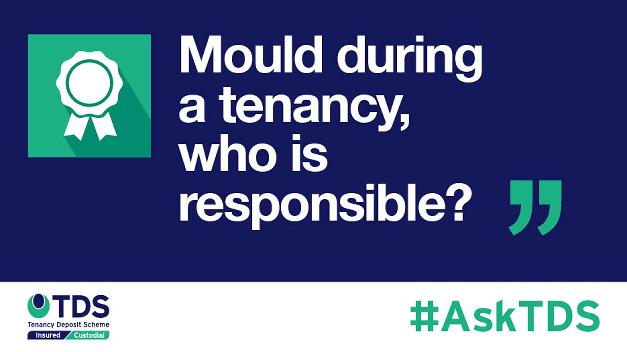 Image saying "#AskTDS: "Mould during tenancy: Who is responsible?"